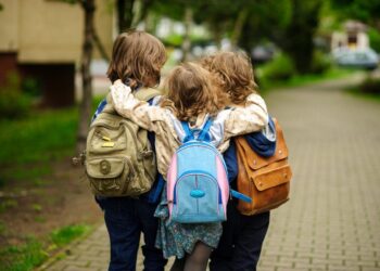 Навчальний рік у Червоноградському районі – 118 шкіл на очному та змішаному навчанні, ще 5 – на дистанційному – Новини Львова та області