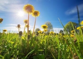 4 вересня на календарі: дні ангела, прикмети і заборони дня