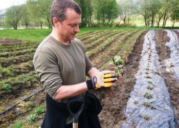 Бізнес отримає гранти на 450 мільйонів на закладку садів і розвиток переробних компаній – Новини Кам’янське