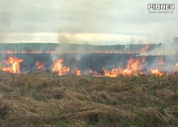 Диверсанти-палії: на Рівненщині борються проти паління трави (ВІДЕО)