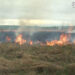 Диверсанти-палії: на Рівненщині борються проти паління трави (ВІДЕО)