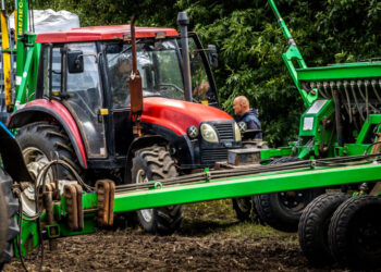 На Дніпропетровщині засіяли понад 173 тис. га полів озиминою – Новини Кам’янське