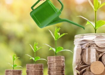 На Рівненщині підприємство спрямує грантові 875 тисяч гривень на вирощування фундука