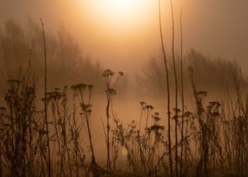 На Тернопільщині очікуються грози та похолодання — Тернопільські новини