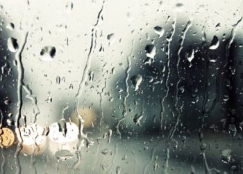 На Тернопільщині очікується сильна негода: людей просять бути обережними — Тернопільські новини