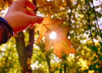 На Тернопільщині потепліє до +18 градусів — Тернопільські новини