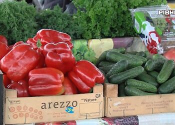 Півтори тисячі гривень на потреби внутрішньопереселених осіб: у Рівному роздали продуктові сертифікати (ВІДЕО)