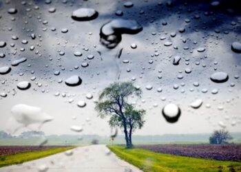 Погода на Рівненщині 4 вересня: чи прогнозують опади