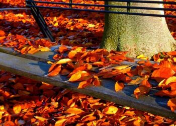 Туман, дощі та потепління: прогноз погоди на Тернопільщині — Тернопільські новини