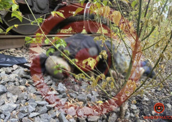 У Дніпрі чоловіка переїхав вантажний потяг |   — новости Днепра