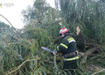 У Вільшанці на легковик впало аварійне дерево (ВІДЕО)