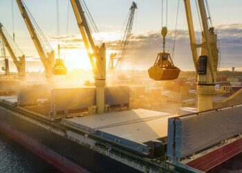 Українські соняшникова олія та кукурудза стали лідерами за вартістю експорту в серпні – Новини Кам’янське