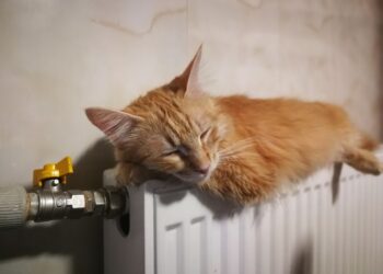 В Україні ввели мораторій на підвищення комунальних тарифів під час війни | Одеський Кур’єр