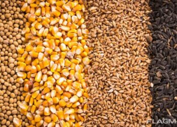 За першу половину вересня з України виїхало 3,9 млн тонн агропродукції