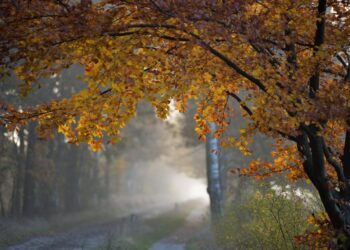 19 жовтня: дні ангела, традиції та заборони дня