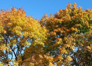 31 жовтня на календарі: свята, традиції та народні прикмети