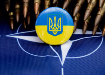 Членство України в НАТО — коли розпочнуться обговорення заявки України в НАТО | Новини Політики