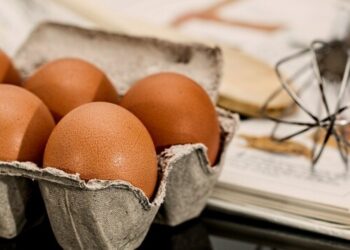 Ціни на яйця припинили рости завдяки збільшенню поголів’я курей-несучок – Новини Кам’янське