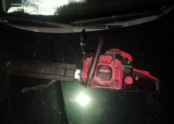 Допоміг порізати дрова та заодно поцупив бензопилку: поліцейські розпочали досудове розслідування