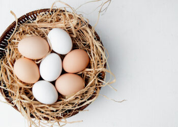 Коли подешевшають яйця в Україні – Новини Кам’янське