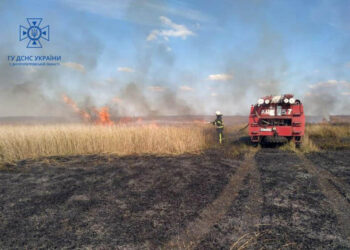 На Дніпропетровщині згорів сухостій на площі майже 5 га |   — новости Днепра