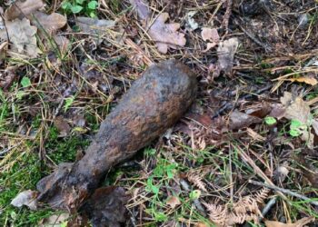 На Рівненщині знищили мінометну міну та артилерійський снаряд часів Другої світової війни