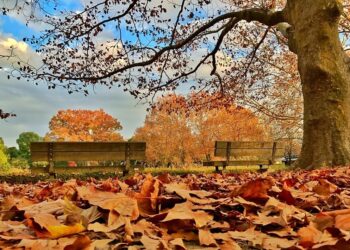 На Тернопільщині буде сонячно та без дощів — Тернопільські новини