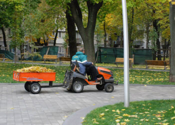 Обгортання хвойних, внесення добрив та випробовування техніки: дніпровські парки готують до зими |   — новости Днепра
