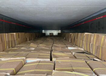 Одеські митники затримали понад 20 тонн «гуманітарних» креветок — Новини Одеської області