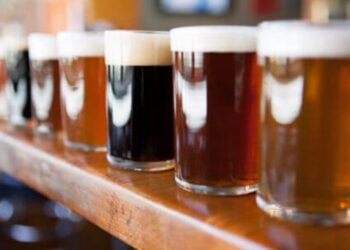 Серед алкогольних напоїв в Україні найбільш подорожчало пиво – Новини Кам’янське