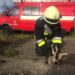 У Вараському районі рятувальники допомогли врятувати тварину