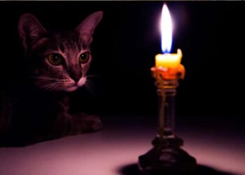 Відомі години, коли відключать світло у Рівненському, Вараському та Сарненському районах