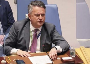 Виключення РФ з Радбезу ООН – Кислиця пояснив, як це можна зробити | Новини Політики