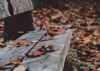 17 листопада на календарі: дні ангела, традиції та заборони дня