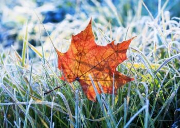 19 листопада на календарі: дні ангела, традиції та заборони дня