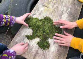 У Запоріжжі починають готувати План зеленого відновлення | Запорозька