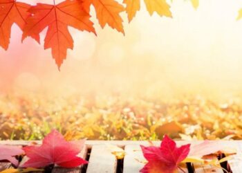 9 листопада на календарі: дні ангела, прикмети і заборони дня