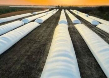 Агропідприємства Дніпропетровщини отримають понад 1 тис. рукавів для зберігання зерна – Новини Кам’янське