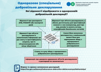 Які відомості відображати в одноразовій добровільній декларації?
