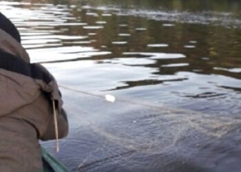 На Дніпропетровщині «чорні рибалки» завдали державі збитків більш ніж на 160 тис. грн – Новини Кам’янське