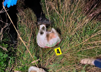 На Дніпропетровщині душогуб убив молотком і розчленував жінку з Миколаїва |   — новости Днепра