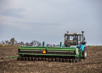 На Дніпропетровщині засіяли 75% полів під озимі зернові   – Новини Кам’янське