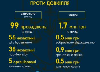 На Рівненщині на користь держави конфіскували 1020 кілограмів бурштину