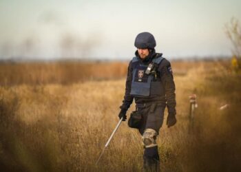 Підрозділи ДСНС працюють над розмінуванням деокупованих територій Херсонської області — Новини Херсонщіни