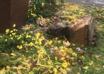 У Нікополі впав пам’ятник поету |   — новости Днепра