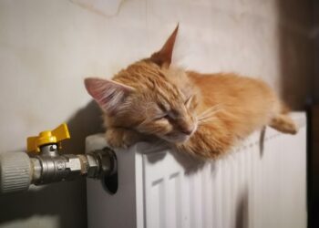 В Одесі починають опалювальний сезон | Одеський Кур’єр