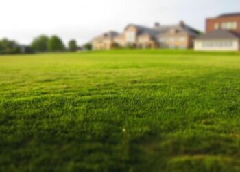 Воєнний стан: Чи сплачується загальне мінімальне податкове зобов’язання за земельні ділянки,  розташовані на територіях, на яких велися бойові дії або на тимчасово окупованих територіях?