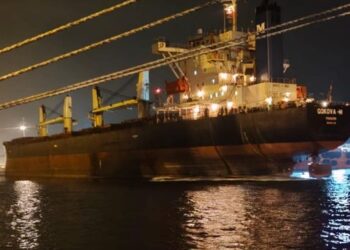 З одеських портів вийшли судна з 80 тисяч тонн пшениці для країн, яким загрожує голод — Новини Одеської області