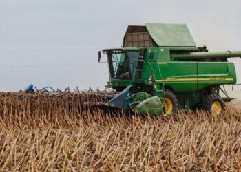 Збір врожаю на Рівненщині: завершують обмолот сої та збирання соняшника