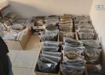 Бізнес на війні: рівнянина викрили на продажі предметів індивідуального захисту військових (ВІДЕО)